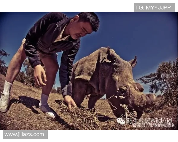 姚明酒的真伪之谜揭晓背后的故事与市场反响分析 姚明酒的真伪之谜揭晓背后的故事与市场反响分析